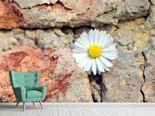 Load image into Gallery viewer, Photo Wallpaper Flower in the wall