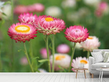 Load image into Gallery viewer, Photo Wallpaper Flowers of spring