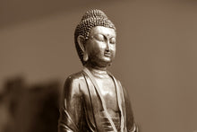 Load image into Gallery viewer, Photo Wallpaper Buddha in meditation XL