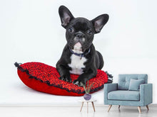 Load image into Gallery viewer, Photo Wallpaper Bulldog to fall in love