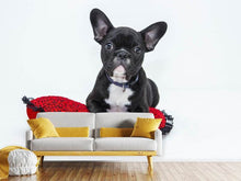 Load image into Gallery viewer, Photo Wallpaper Bulldog to fall in love