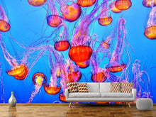 Load image into Gallery viewer, Photo Wallpaper Colorful jellyfish