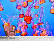 Load image into Gallery viewer, Photo Wallpaper Colorful jellyfish
