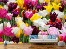 Load image into Gallery viewer, Photo Wallpaper Colorful tulip field