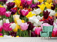 Load image into Gallery viewer, Photo Wallpaper Colorful tulip field