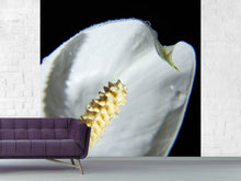 Load image into Gallery viewer, Photo Wallpaper Calla Close up in white