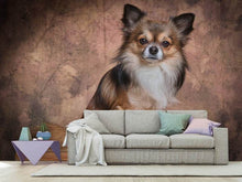 Load image into Gallery viewer, Photo Wallpaper Chihuahua portrait