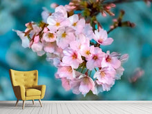 Load image into Gallery viewer, Photo Wallpaper Close up flower