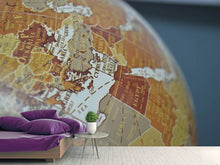 Load image into Gallery viewer, Photo Wallpaper Close up globe