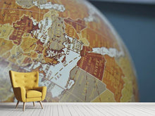 Load image into Gallery viewer, Photo Wallpaper Close up globe