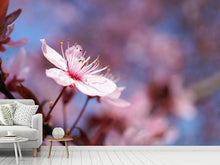 Load image into Gallery viewer, Photo Wallpaper Close up cherry blossom