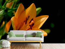 Load image into Gallery viewer, Photo Wallpaper Close up lily in orange