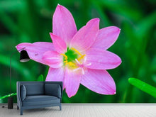 Load image into Gallery viewer, Photo Wallpaper Close up of pink blossom