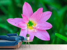 Load image into Gallery viewer, Photo Wallpaper Close up of pink blossom