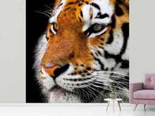 Load image into Gallery viewer, Photo Wallpaper Close up tiger head