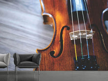 Load image into Gallery viewer, Photo Wallpaper Close up violin 2