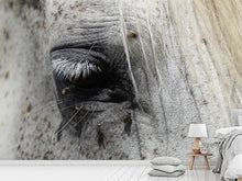 Load image into Gallery viewer, Photo Wallpaper The eye of the horse