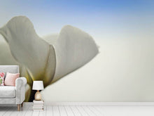 Load image into Gallery viewer, Photo Wallpaper The leaf of a lily blossom