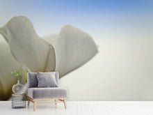 Load image into Gallery viewer, Photo Wallpaper The leaf of a lily blossom