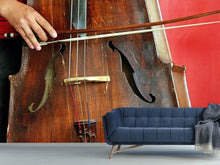 Load image into Gallery viewer, Photo Wallpaper The cello