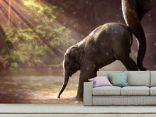 Load image into Gallery viewer, Photo Wallpaper The elephant baby