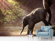 Load image into Gallery viewer, Photo Wallpaper The elephant baby