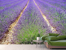 Load image into Gallery viewer, Photo Wallpaper The lavender field