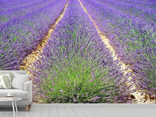Load image into Gallery viewer, Photo Wallpaper The lavender field