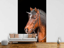 Load image into Gallery viewer, Photo Wallpaper The last Unicorn