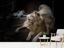Load image into Gallery viewer, Photo Wallpaper The lion couple