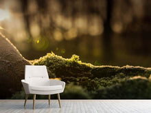 Load image into Gallery viewer, Photo Wallpaper The moss