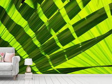 Load image into Gallery viewer, Photo Wallpaper The palm leaf in XL