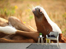 Load image into Gallery viewer, Photo Wallpaper The sleeping horse