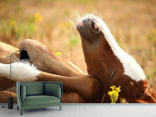 Load image into Gallery viewer, Photo Wallpaper The sleeping horse