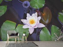 Load image into Gallery viewer, Photo Wallpaper The lily pad in white