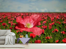 Load image into Gallery viewer, Photo Wallpaper The lush poppy field