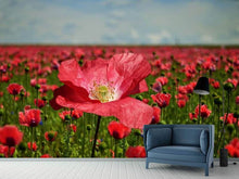 Load image into Gallery viewer, Photo Wallpaper The lush poppy field