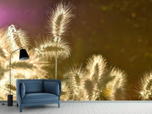 Load image into Gallery viewer, Photo Wallpaper The ornamental grass