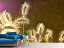 Load image into Gallery viewer, Photo Wallpaper The ornamental grass