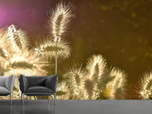 Load image into Gallery viewer, Photo Wallpaper The ornamental grass