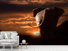 Load image into Gallery viewer, Photo Wallpaper Towards the sunset