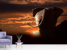 Load image into Gallery viewer, Photo Wallpaper Towards the sunset