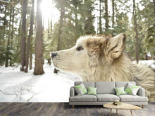 Load image into Gallery viewer, Photo Wallpaper The Alaskan Malamute