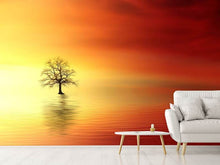 Load image into Gallery viewer, Photo Wallpaper The tree in the water