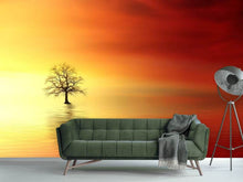 Load image into Gallery viewer, Photo Wallpaper The tree in the water