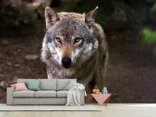 Load image into Gallery viewer, Photo Wallpaper The evil wolf