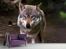 Load image into Gallery viewer, Photo Wallpaper The evil wolf