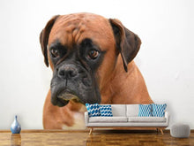 Load image into Gallery viewer, Photo Wallpaper The boxer