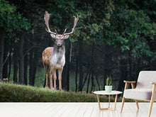 Load image into Gallery viewer, Photo Wallpaper The fallow deer 2