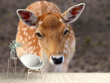 Load image into Gallery viewer, Photo Wallpaper The fallow deer